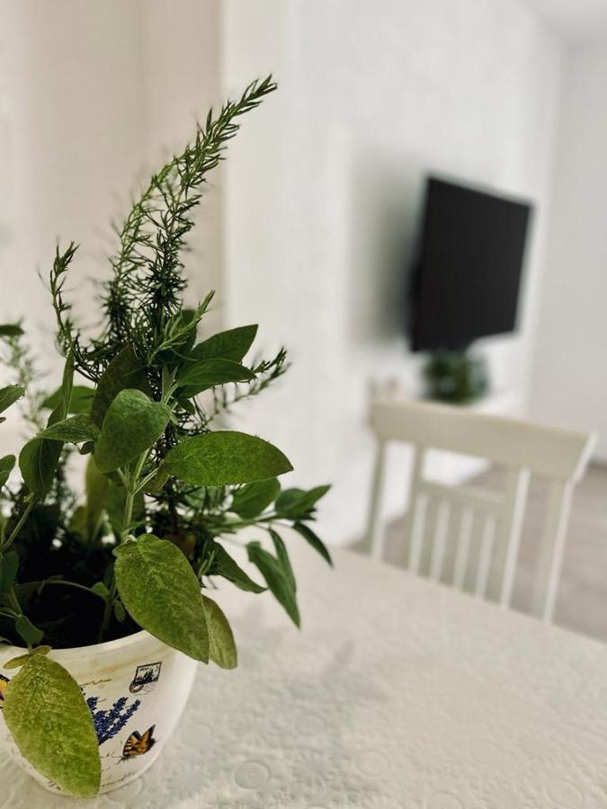 Apartments Juric Mimice Ngoại thất bức ảnh